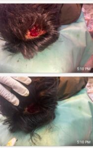 नेहरू चौक में युवक पर हमला व चेन लूट का आरोप — कांग्रेस नेता और आदतन अपराधी के दबाव में कार्रवाई नहीं? सिविल लाइन पुलिस पर गंभीर सवाल